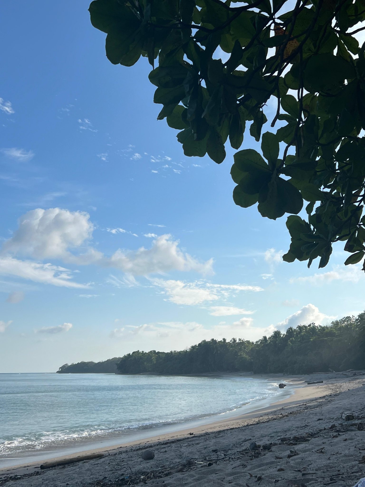 Calm shore with gentle waves by cmondragon7014, CC0