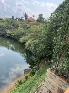 Calm river bordered by dense trees and tropical vegetation.