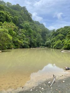 Calm muddy river surrounded by lush green forest, with hills and a blue sky in the background.