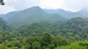 lush green forest-covered hills stretching across the landscape, with misty mountain peaks and soft sunlight filtering through the clouds, creating a serene and peaceful nature