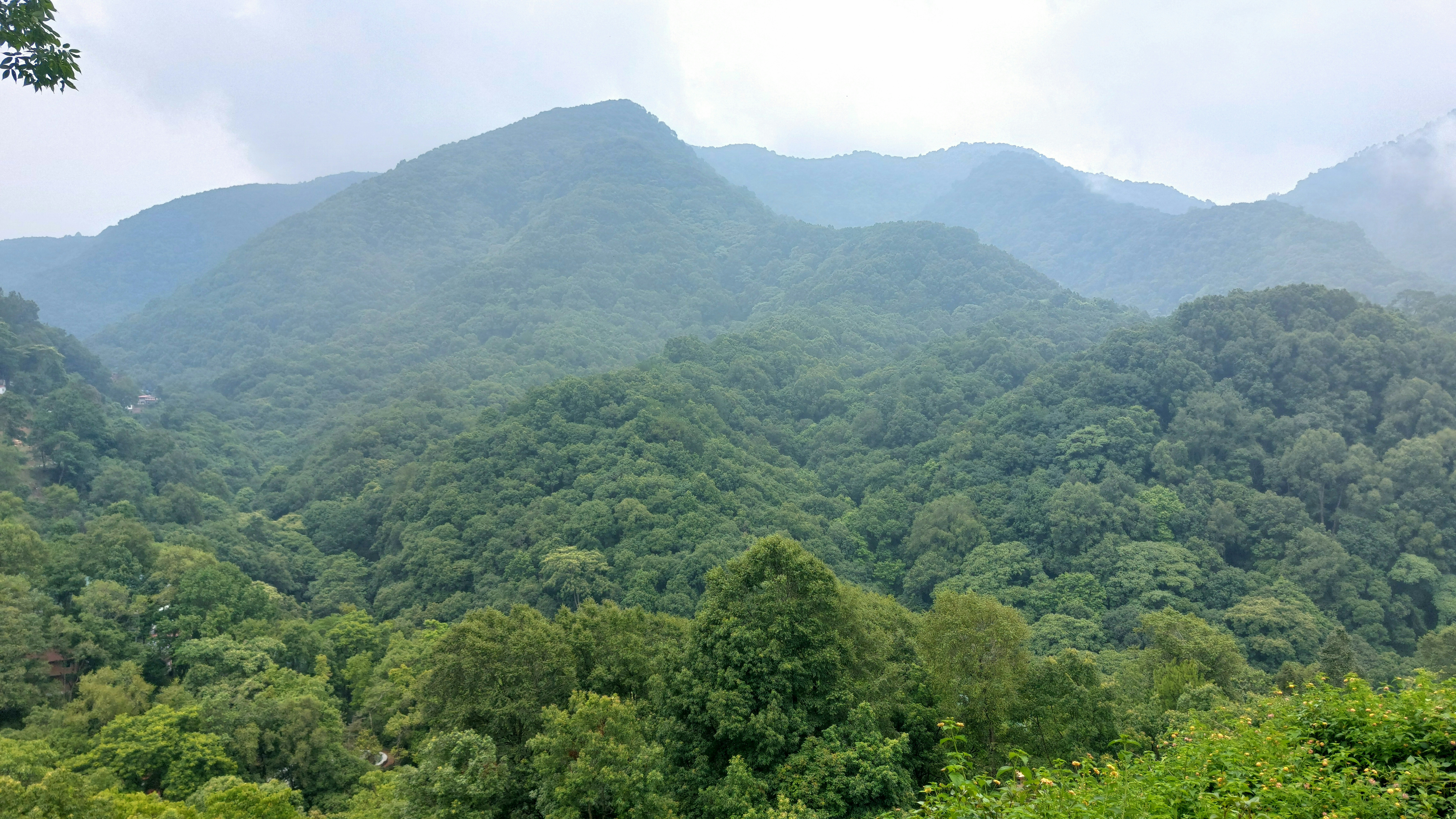 lush green forest-covered hills stretching across the landscape, with misty mountain peaks and soft sunlight filtering through the clouds, creating a serene and peaceful nature
