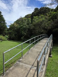 Curved concrete pedestrian bridge over a green lawn, surrounded by trees.