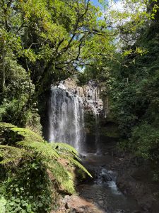 A serene waterfall cascades into a rocky pool surrounded by lush green foliage and trees under a clear blue sky