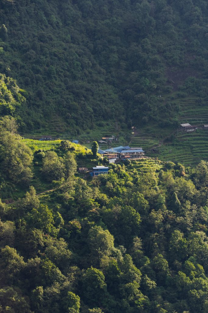 Small cluster of houses with blue roofs and terraced farmland on a densely forested hillside
