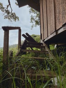 Weathered wooden staircase leading to a rustic cabin surrounded by grass and forest.