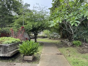 Curved concrete pathway passing through a peaceful botanical garden, surrounded by dense tropical trees, ornamental plants, landscaped areas, and concrete benches.