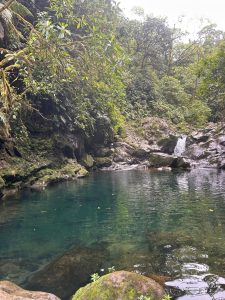 A clear pond surrounded by green trees and mossy rocks, with a small waterfall in the background.