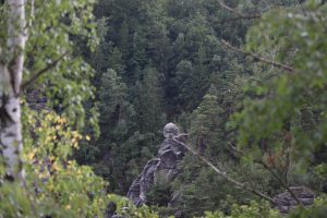 Framed by blurred tree branches in the foreground, a prominent gray, weathered rock formation rises among a dense, green forest covering steep hillsides. The surrounding canopy of evergreen and deciduous trees emphasizes the rugged, natural landscape.
