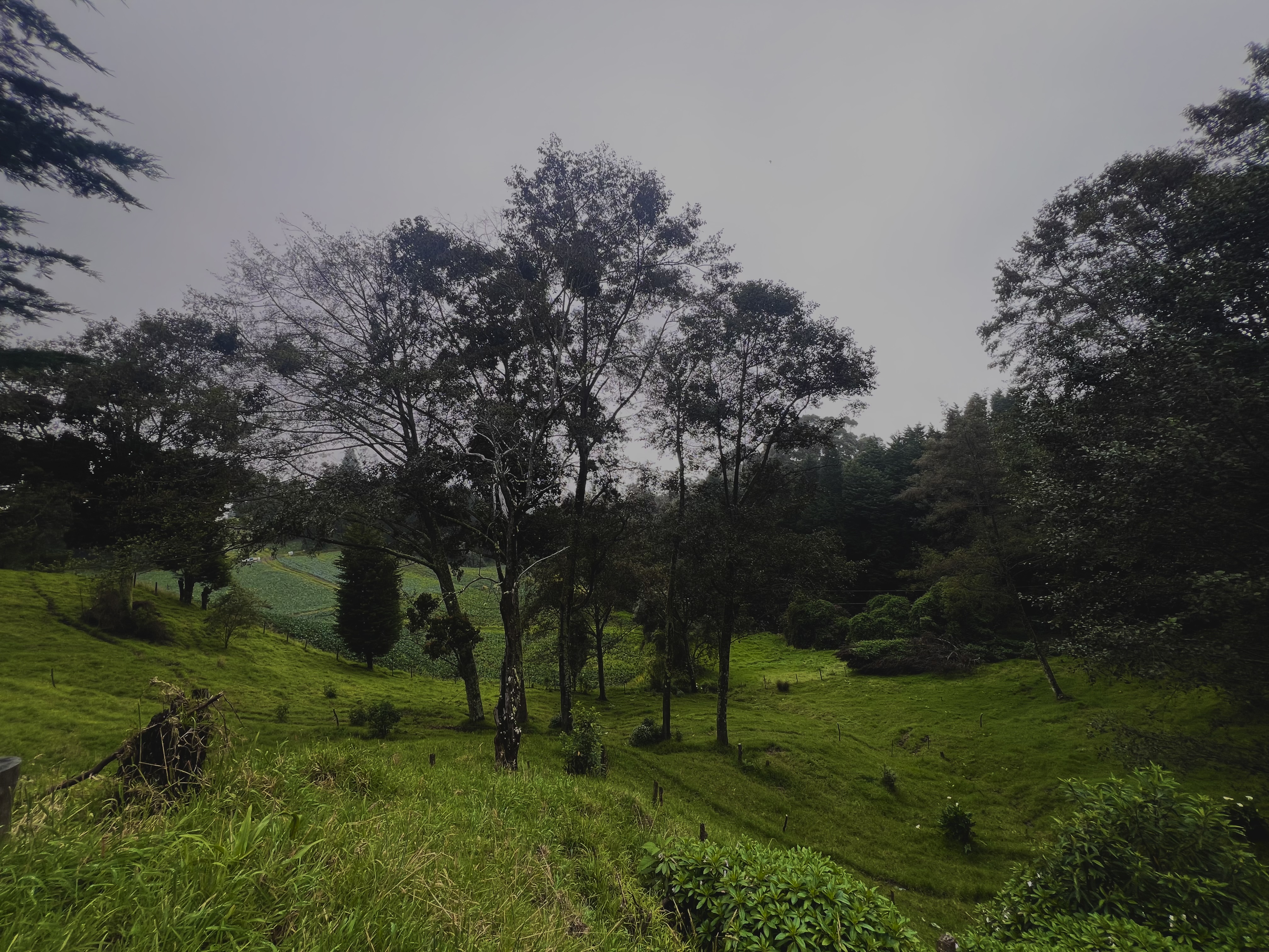 A peaceful mountain landscape featuring rolling green hills, scattered trees, and dense cloud forest beneath an overcast sky. The gentle slopes and natural vegetation create a calm rural scene that highlights the beauty of Costa Rica’s highland countryside.