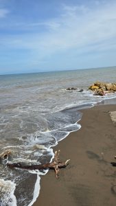 Small ocean waves wash onto a dark sandy beach with driftwood in the foreground and large rocks near the shore.