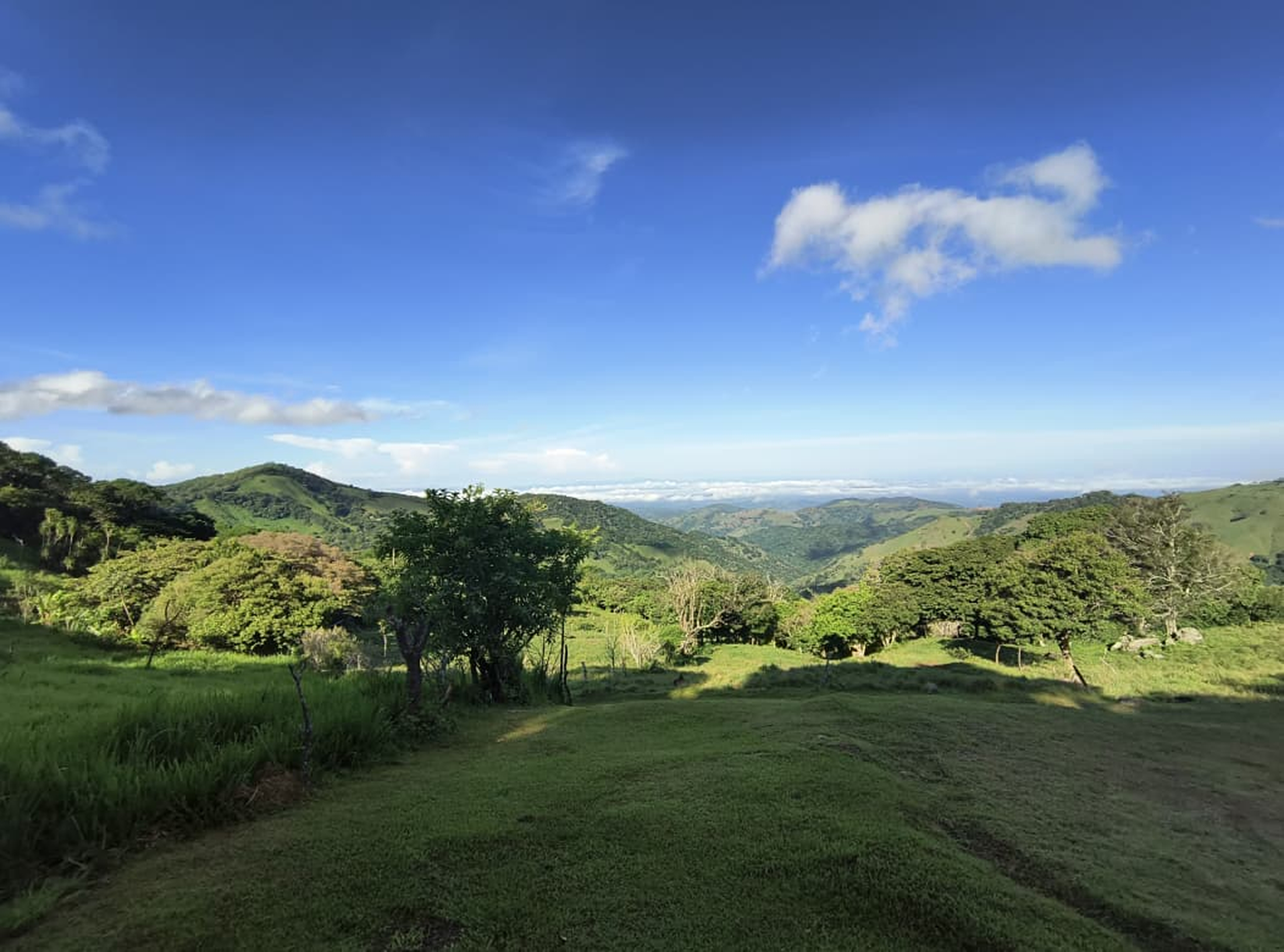 Panoramic green hills with trees and grass under a bright blue sky with white clouds.
