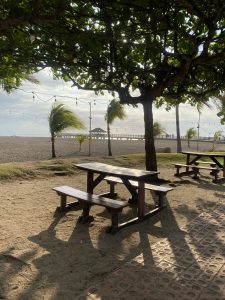 Wooden picnic tables under a shady tree on a sandy beach, with string lights hanging from the branches and palm trees swaying in the wind. A wooden pier with a small gazebo extends toward the ocean in the background.