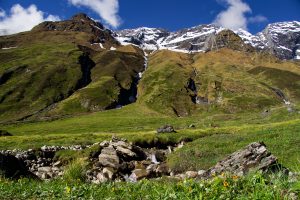 Small rocky stream with yellow wildflowers in a green alpine meadow, with snow patches on grassy mountain slopes behind