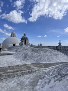 View from the rooftop of a building featuring several white and gray domed structures with textured surfaces and varying heights. A decorative architectural element with intricate details stands nearby, while an ornamental railing frames the rooftop beneath a blue sky with scattered clouds.