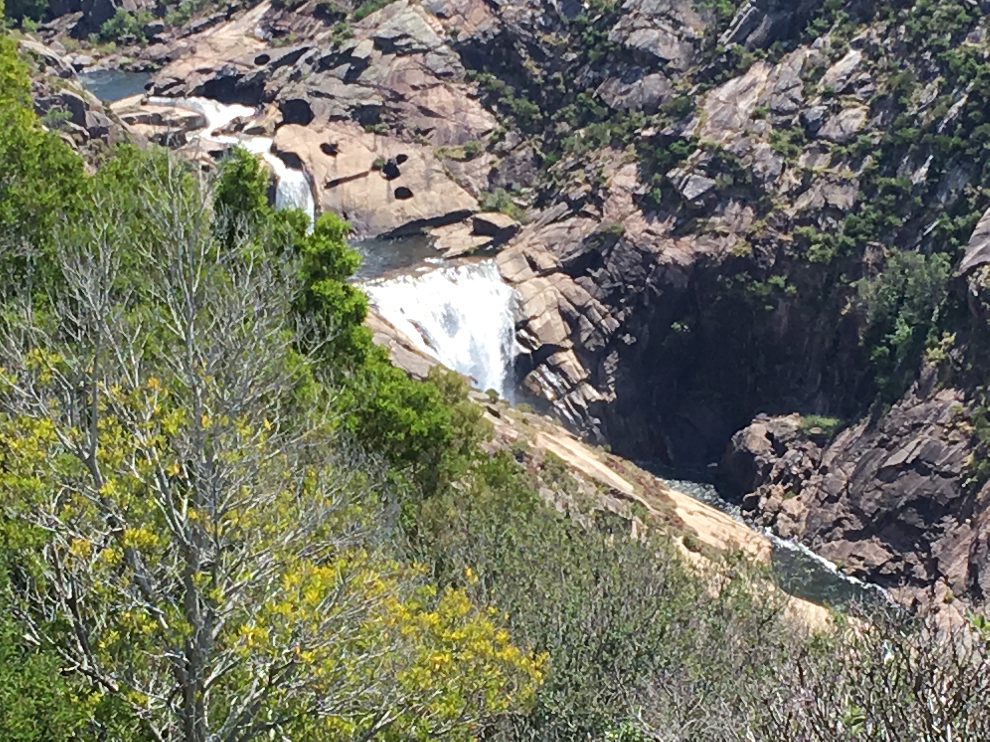 Ézaro Waterfall surrounded by green trees and plants.