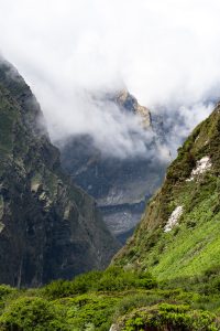 Rocky mountain gorge with a jagged peak partially shrouded in clouds, green shrubs in the foreground