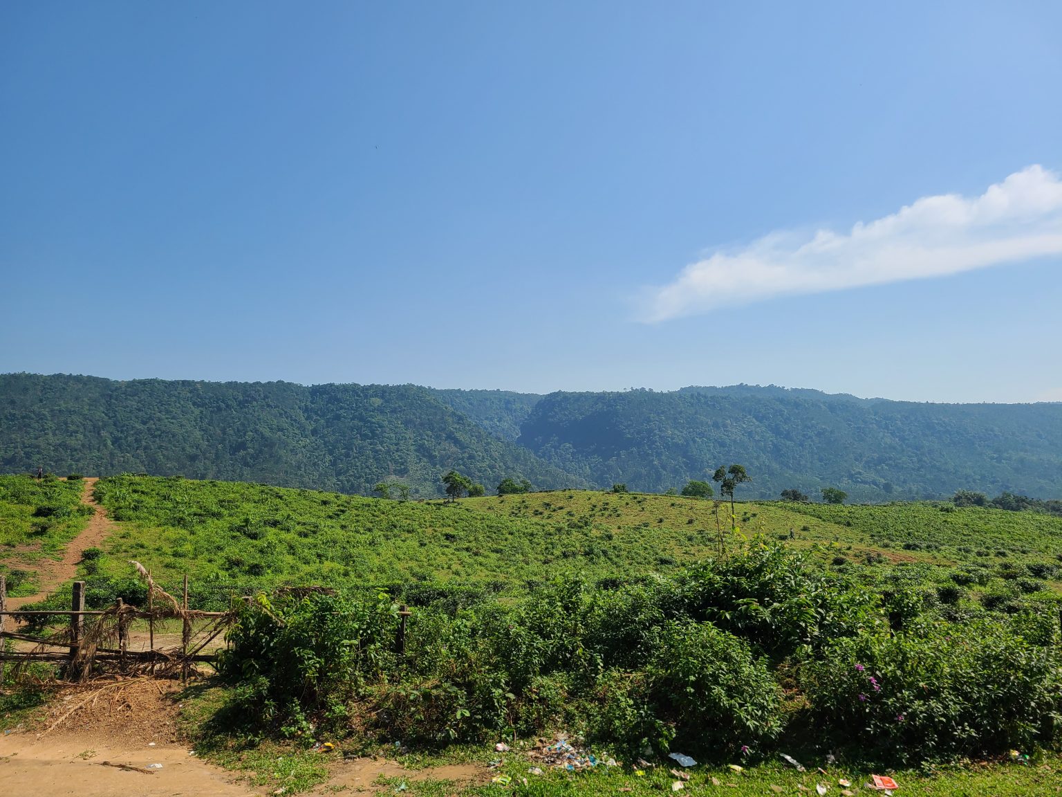 Lush green rolling hills under a bright blue sky with a distant mountain range in the background.