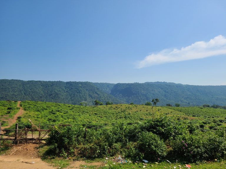 Lush green rolling hills under a bright blue sky with a distant mountain range in the background.