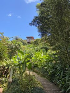 A stone path leading uphill through a lush tropical garden with tall bamboo, banana leaves, ferns, and red flowers. A wooden building with arched windows is visible at the top of the hill under a bright blue sky with scattered clouds.