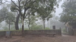 A serene scene of a misty landscape surrounded by lush greenery
