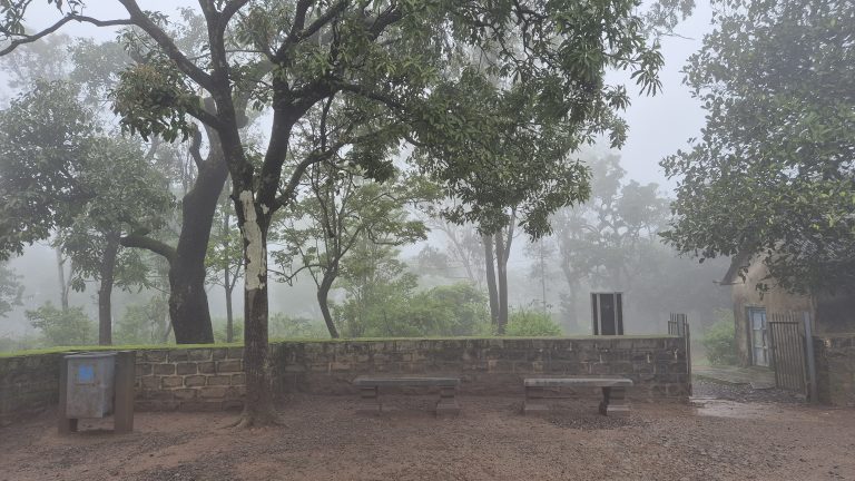 A serene scene of a misty landscape surrounded by lush greenery