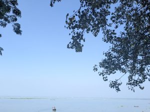 Calm Padma, Meghna , Dakatia rivers confluence  under a bright blue sky, framed by leafy tree branches on top and left. A small boat floats in the distance, conveying tranquility.
