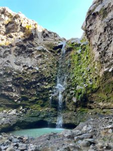 A small waterfall flows down a rocky cliff into a clear turquoise pool surrounded by mossy rocks.
