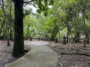 Peaceful resting area inside the botanical garden, featuring a concrete pathway, outdoor benches, and dense tropical vegetation.