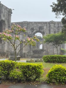 Historic stone church ruins surrounded by green gardens and flowering trees on a misty day. Large stone arches and weathered walls stand behind neatly trimmed hedges beneath an overcast sky.