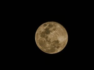 A full moon with a golden-brown hue, showing detailed craters and surface texture, set against a completely black night sky.
