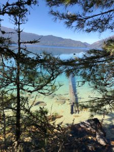 
Trees frame a view of a clear turquoise Rara lake with a submerged log. 