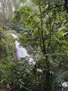 Waterfall surrounded by lush tropical rainforest in Costa Rica.