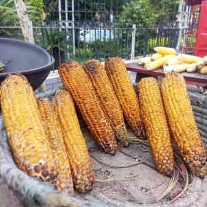 A woven basket filled with roasted ears of corn.