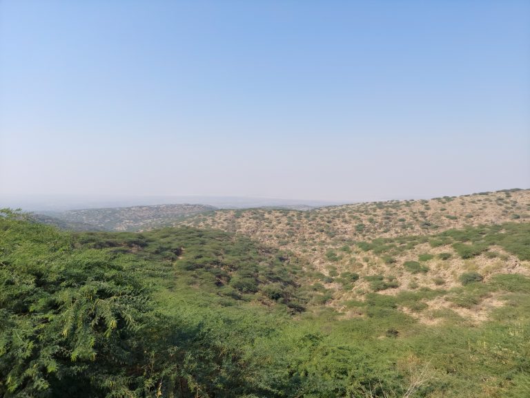 Natural hills and landscape at Kala Dungar (Black Hill), the highest point in Kutch, Gujarat, India.