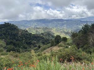 A panoramic view of lush green mountains and hills under a cloudy sky, with orange flowers blooming in the foreground vegetation.
