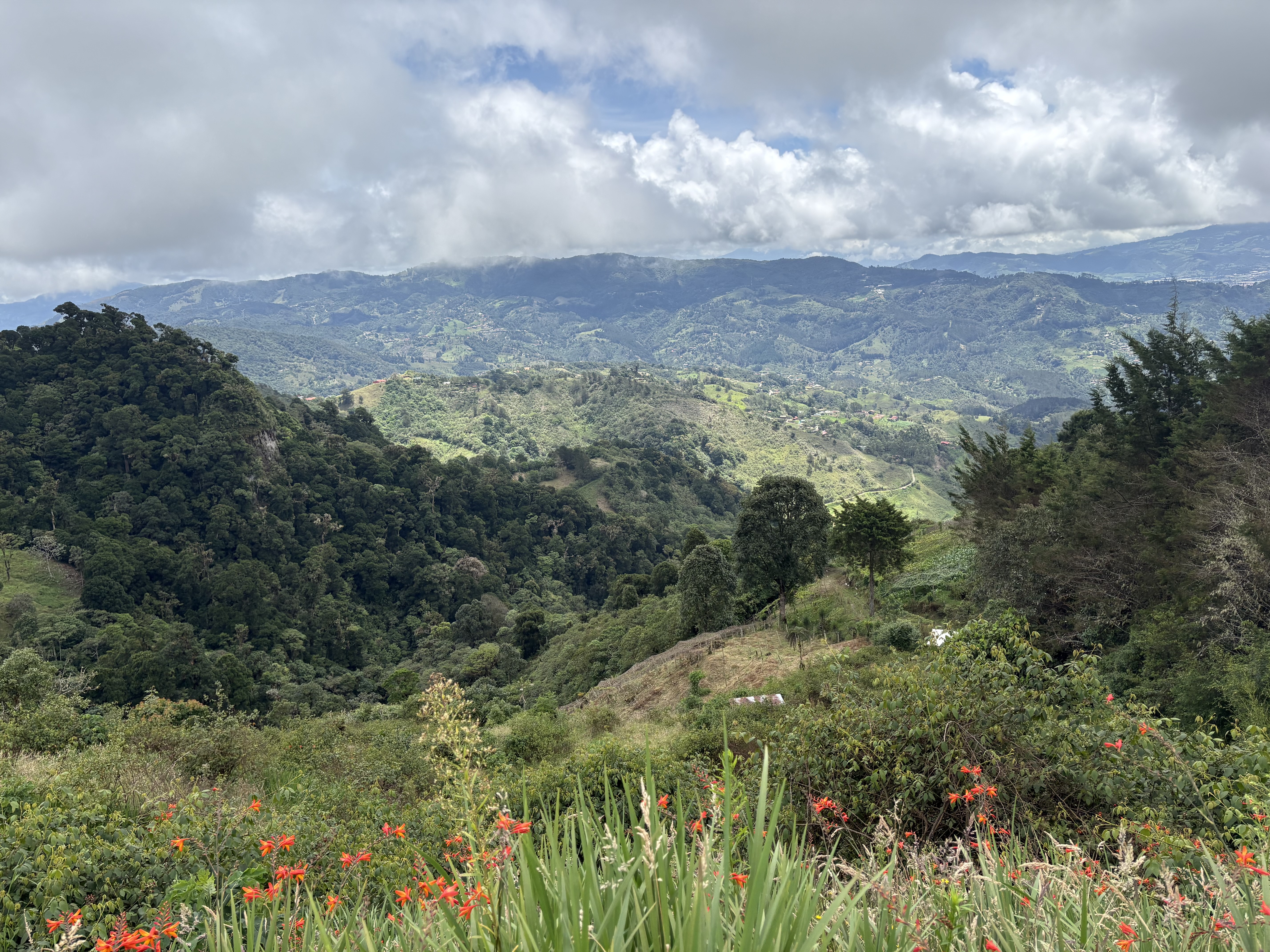 A panoramic view of lush green mountains and hills under a cloudy sky, with orange flowers blooming in the foreground vegetation.