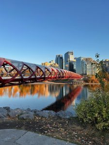 Calgary’s red Peace Bridge stretches across the Bow River toward modern downtown buildings under a clear blue sky. Golden autumn trees and the bridge’s curved framework reflect in the calm water, while rocks, fallen leaves, and green shrubs frame the riverbank on a bright fall afternoon.