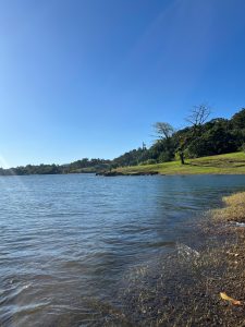 A calm lake with small ripples reaches a grassy shoreline. Green hills and trees line the opposite bank beneath a wide, clear blue sky.