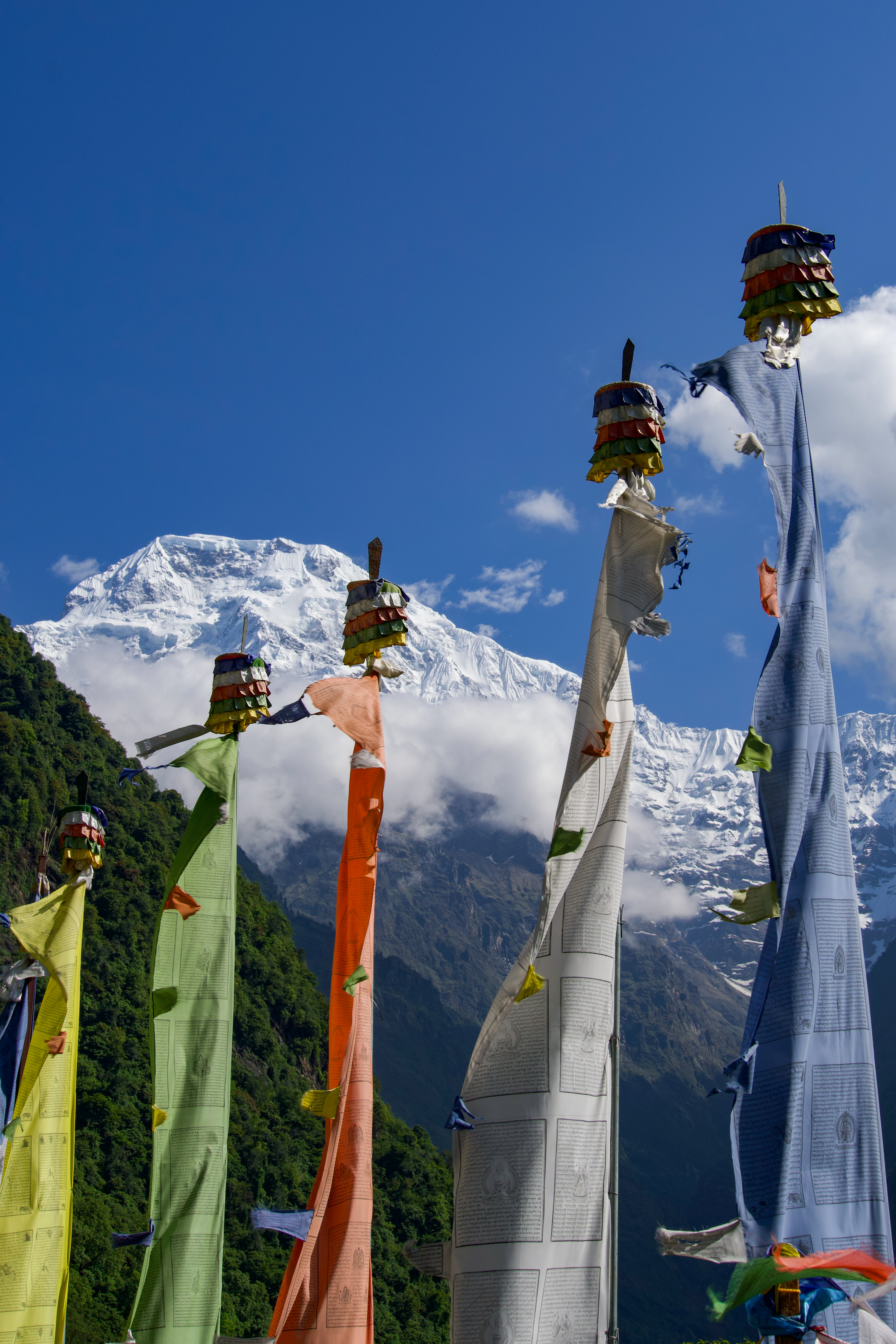 Tall vertical prayer flags in yellow, green, orange, white, and blue on wooden poles with a snow-capped mountain and forested hillside in the background