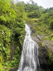 Waterfall flowing down a rocky cliff surrounded by green trees and plants.