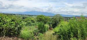 Panoramic view of valley and distant mountains