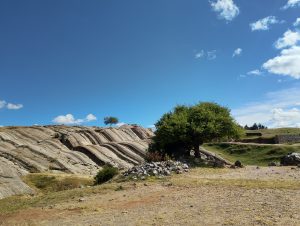 Tree at Sacsayhuaman with the Rodadero rock formations in the distance.