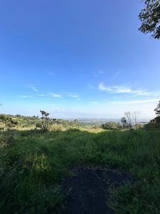A breathtaking, wide-angle view from the Palos Verdes viewpoint in Heredia, Costa Rica. The image showcases lush green mountain grass and native vegetation in the foreground, opening up to a spectacular panoramic vista of the Central Valley below under a vast, bright blue sky with wispy clouds. It perfectly captures the serene and refreshing atmosp