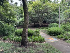 Winding concrete pathway decorated with colorful painted designs, leading through a shaded garden filled with tall trees, shrubs, and dense green vegetation.