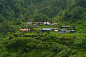 Cluster of houses with colorful metal roofs on a terraced hillside surrounded by dense green forest