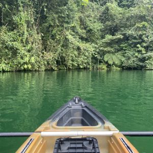 The image captures a serene scene from a kayak, with the bow of the kayak prominently in the foreground. The water is a vibrant emerald green, reflecting the lush greenery surrounding it. On either side, dense foliage lines the banks, creating a natural frame with various shades of green. The overall atmosphere is tranquil, suggesting a peaceful ex