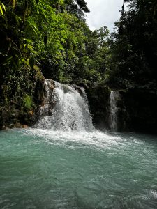 Turquoise waterfall flowing into a clear pool, surrounded by lush tropical forest.