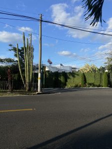 A street scene under a bright blue sky dotted with fluffy white clouds. On the left, a tall green cactus stands out against a backdrop of neatly trimmed bushes and trees. A utility pole with power lines runs vertically, adding a touch of urban landscape. In the distance, a modern white building is partially visible. A small flag sways gently on a p