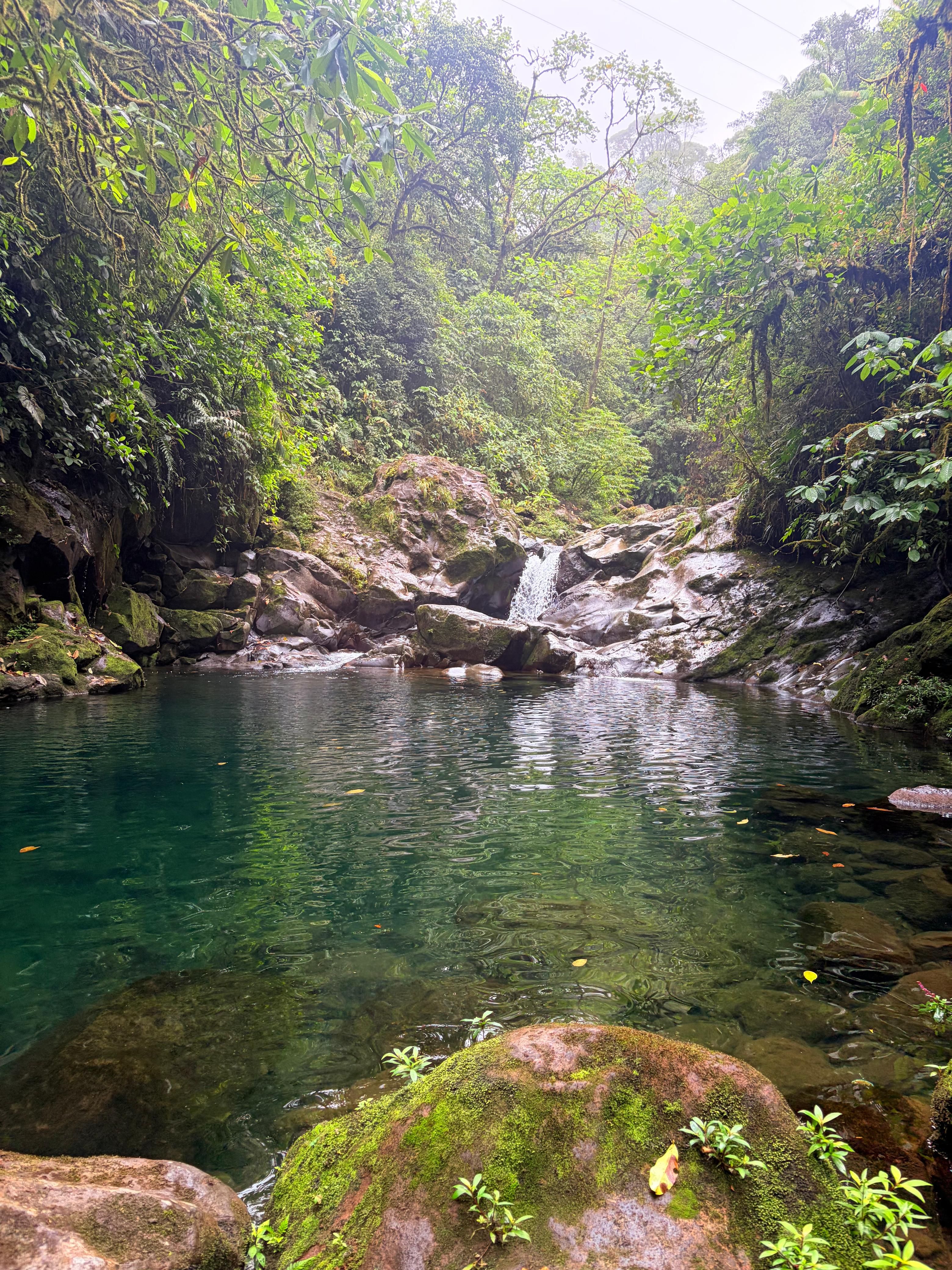 Calm emerald-green pond surrounded by large rocks and dense vegetation, with small ripples reflecting the greenery