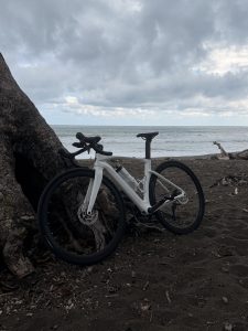 White bicycle leaning against a tree near a beach with ocean waves and a cloudy sky.